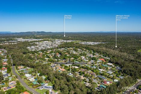 Property photo of 5 Cockateil Court Thornlands QLD 4164