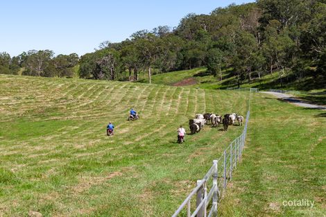 Property photo of LOT 445 Ted Road Geham QLD 4352