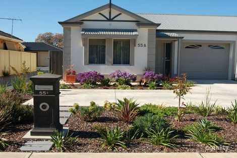 Property photo of 55A Lascelles Avenue Warradale SA 5046