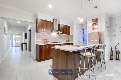 Property photo of 12 Mullein Bend Cranbourne North VIC 3977