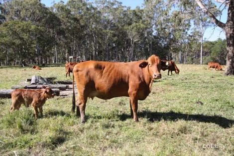 Property photo of 154 McRae Road Coondoo QLD 4570