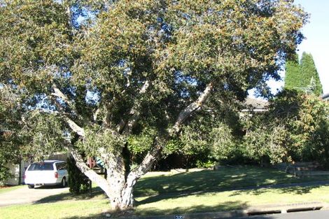 Property photo of 32 Merryl Avenue Old Toongabbie NSW 2146