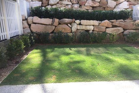 Property photo of 17 Terraces Court Peregian Springs QLD 4573