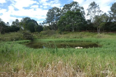 Property photo of 28604 Bruce Highway Doolbi QLD 4660