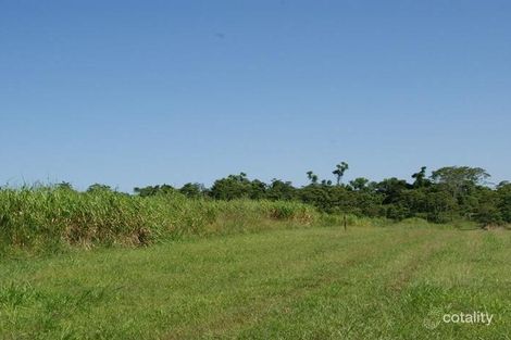 Property photo of 273 Kirk Road Garradunga QLD 4860