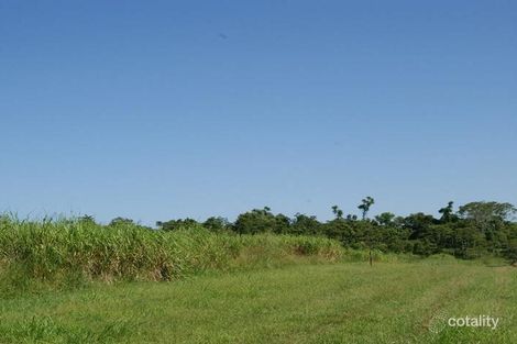 Property photo of 273 Kirk Road Garradunga QLD 4860