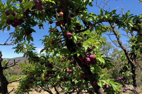 Lot 96 Mcdonagh Rd, Ballandean, QLD 4382