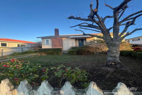 52 Punchbowl Rd, Punchbowl, TAS 7249