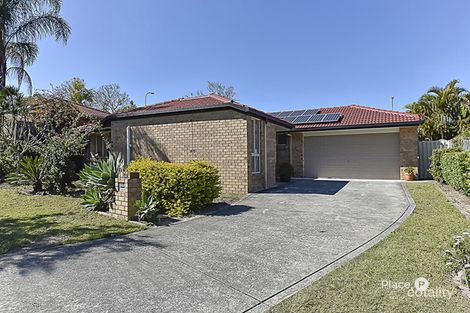 Property photo of 20 Murphy Street Calamvale QLD 4116