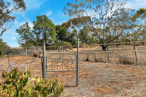 Property photo of 133 Hewson Road Halbury SA 5461