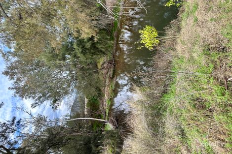 1356 Halls Creek Rd, Halls Creek, NSW 2346