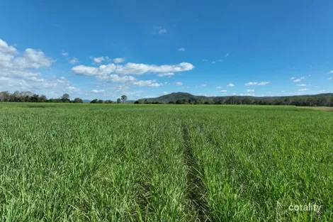 Property photo of 49 Bradfords Road Septimus QLD 4754