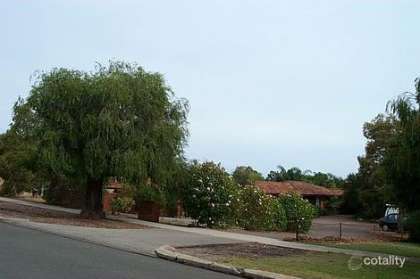 3/33 Mitchell St, Bentley, WA 6102