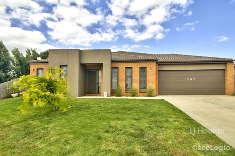 Property photo of 19 Phoebes Way Eastwood VIC 3875