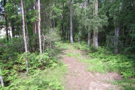 Property photo of 31 The Parkway Place Mapleton QLD 4560