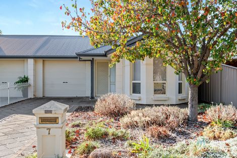 7 Harcourt Ave, Clovelly Park, SA 5042