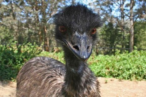 2 Honeymyrtle Cct, Denmark, WA 6333