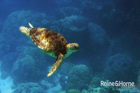 Property photo of 17 Quoin Street West Gladstone QLD 4680