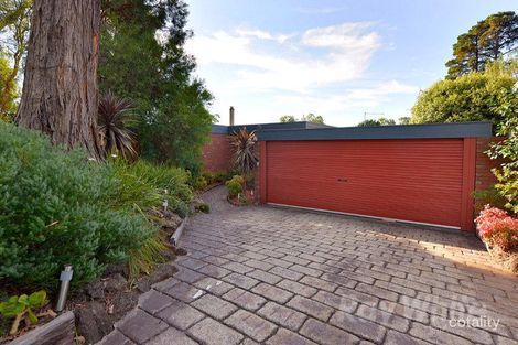 Property photo of 11 Casuarina Avenue Boronia VIC 3155