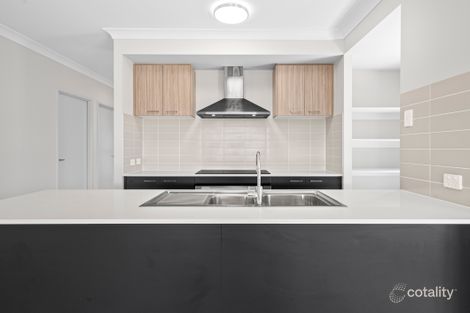 Property photo of 7 Shell Street Nerang QLD 4211