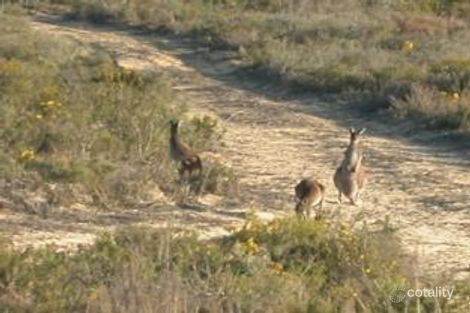 Lot 204 Ridge Way, Jurien Bay, WA 6516