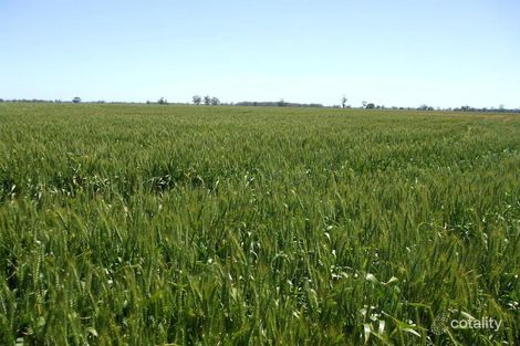 1036 Frances Rd, Pooginagoric, SA 5268