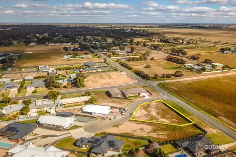 9 Robert Walter Pl, Deniliquin, NSW 2710