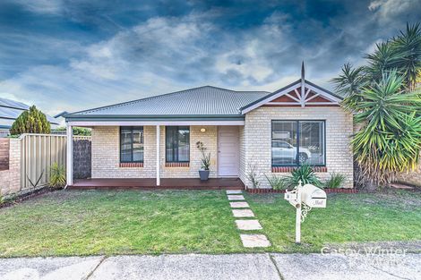 16 Moorlinch St, Butler, WA 6036