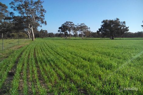 1245 Bolgart West Rd, Old Plains, WA 6569