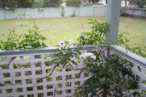 Property photo of 19 Hollingsworth Crescent Callala Bay NSW 2540