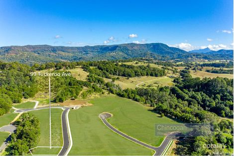 99 Tuckeroo Ave, Mullumbimby, NSW 2482