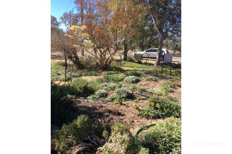 Property photo of 9 Short Street Mitchell QLD 4465