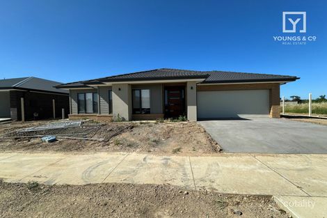 Property photo of 19 Gilmour Crescent Kialla VIC 3631