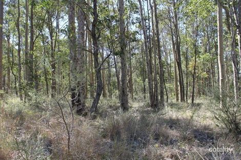 8 Burlington Ave, Jilliby, NSW 2259