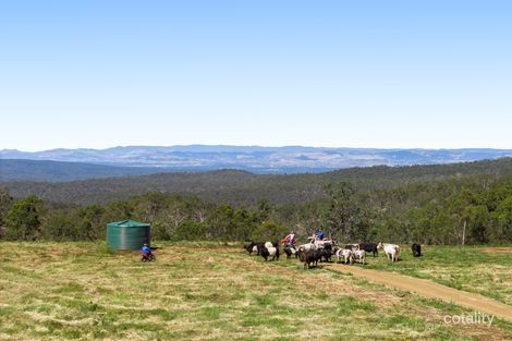 Property photo of LOT 445 Ted Road Geham QLD 4352