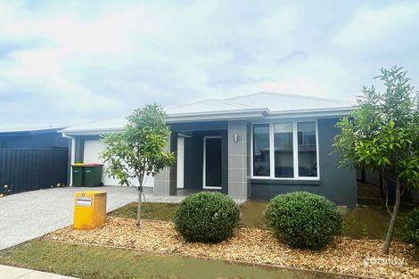 Property photo of 10 Paul Crescent Nirimba QLD 4551