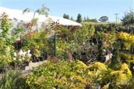 Property photo of 25 Spring Street Sheffield TAS 7306