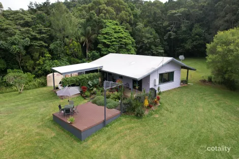 Property photo of 477 Pinnacle Road Julatten QLD 4871
