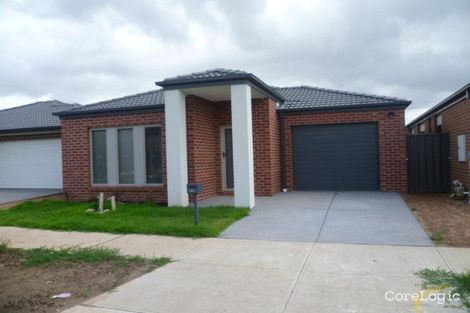 Property photo of 12 Ciliata Street Cranbourne North VIC 3977
