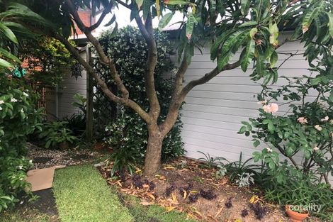 Property photo of 113 Allambie Road Allambie Heights NSW 2100