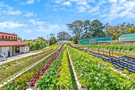 Property photo of 1-15 McCallums Road Berrilee NSW 2159