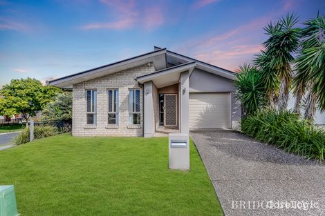 Property photo of 3 Madison Avenue North Lakes QLD 4509