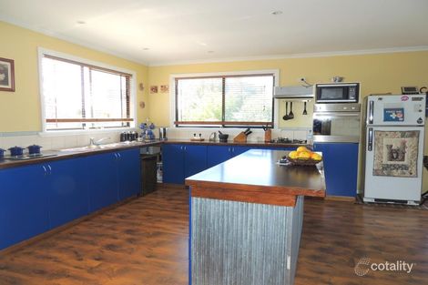 Property photo of 6A Medea Street St Helens TAS 7216