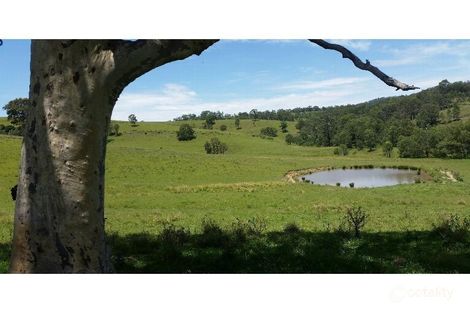 223 Hanleys Creek Rd, Tabbil Creek, NSW 2420