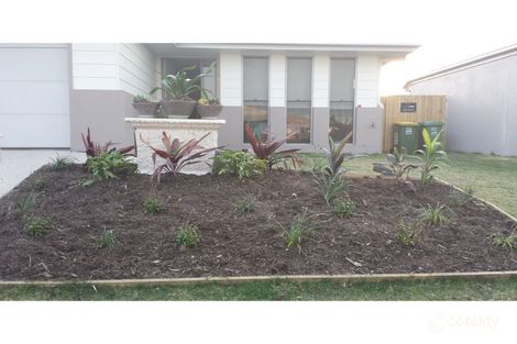 Property photo of 39 Joseph Court Glenella QLD 4740