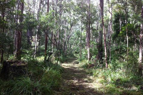 Property photo of 114 Webster Road Wondecla QLD 4887