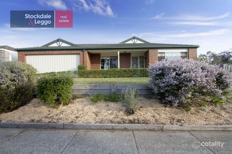 81 Gum Nut Dr, Langwarrin, VIC 3910