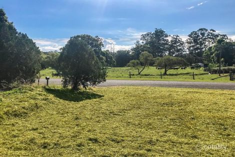 Property photo of 8 Erin Street Stroud NSW 2425