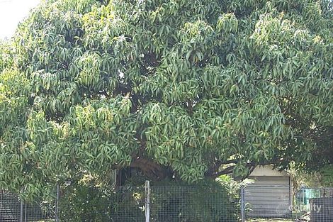 70 Marquis St, Greenslopes, QLD 4120