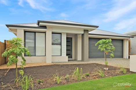 10 Cornelia St, Leichhardt, QLD 4305